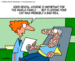 To help you get through your week from Precision Dental